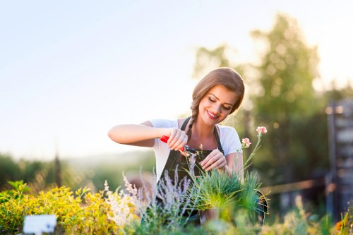 Gardener working on a suburban Yiewsley garden